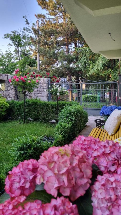 Apartman L&M Cetinje Dış mekan fotoğraf