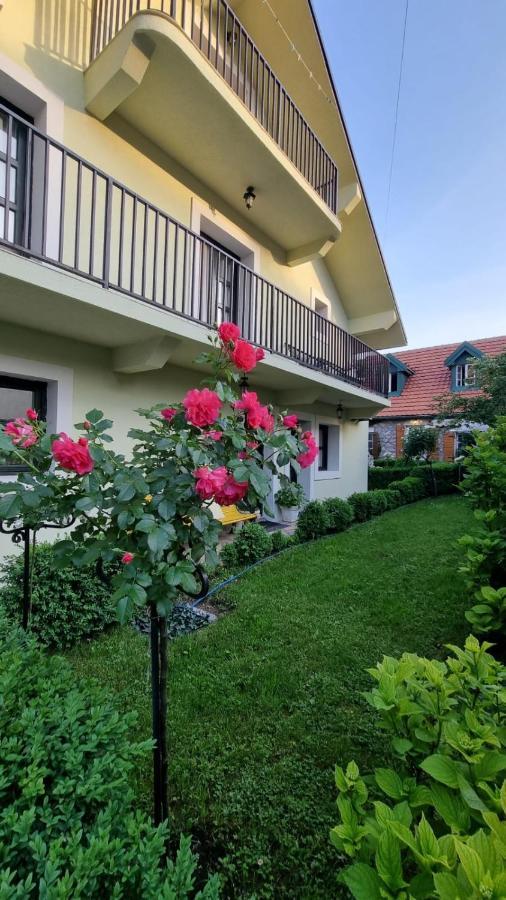 Apartman L&M Cetinje Dış mekan fotoğraf