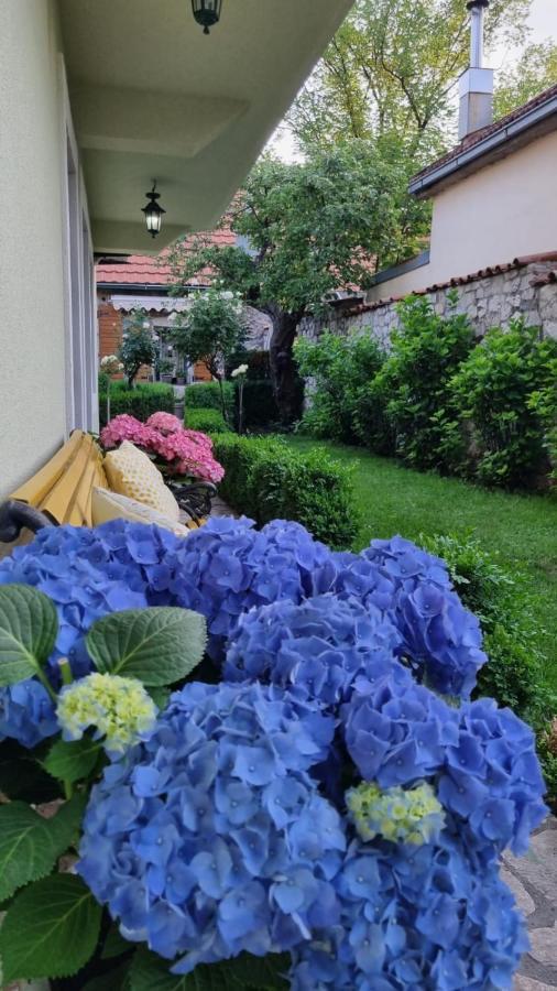 Apartman L&M Cetinje Dış mekan fotoğraf